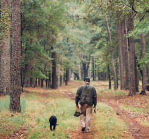 South Carolina Trails Accessible at Your New Home