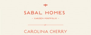 Carolina Cherry Floor Plan - New Homes for Sale in Summerville, SC
