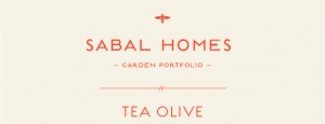 Tea Olive Floor Plan - New Homes for Sale in Summerville, SC