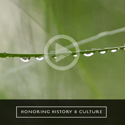 honor-history-culture-video