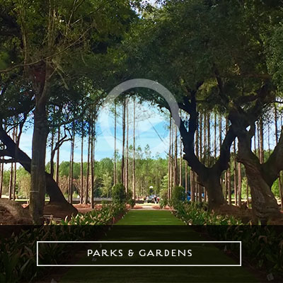 park-garden-video